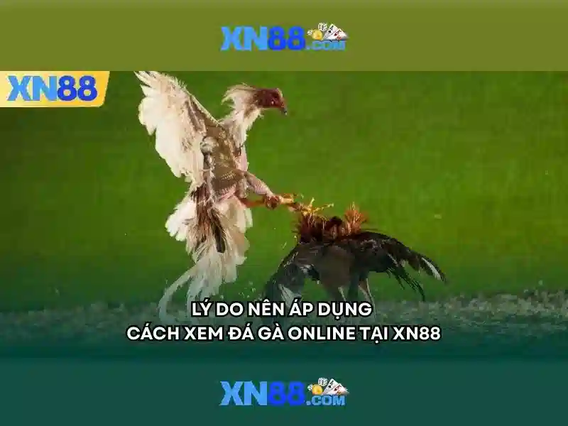 xn88 win - xn88 xn88 win - xn88