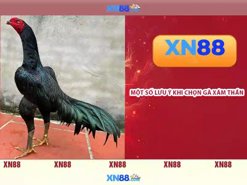 💎hb88 free welcome bonus💎 💎hb88 free welcome bonus💎