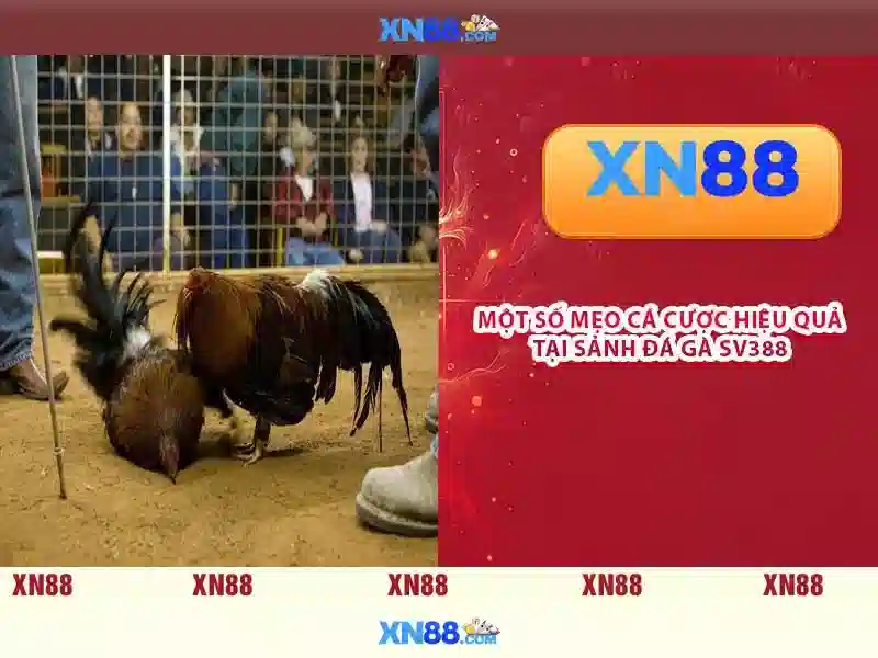 XN88 BSHRF - Trải Nghiệm Slot Đỉnh Cao Với Ưu Đãi Hấp Dẫn - xn88 XN88 BSHRF - Trải Nghiệm Slot Đỉnh Cao Với Ưu Đãi Hấp Dẫn - xn88