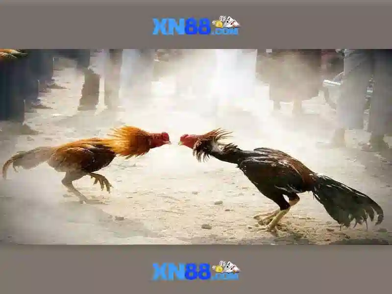 💎cách muối kim chi cải thảo tại nhà💎 💎cách muối kim chi cải thảo tại nhà💎
