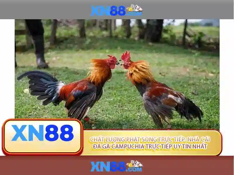 💎free online slot machines 888💎 - naga cuan 888 slot login - garuda 888 slot login 💎free online slot machines 888💎 - naga cuan 888 slot login - garuda 888 slot login