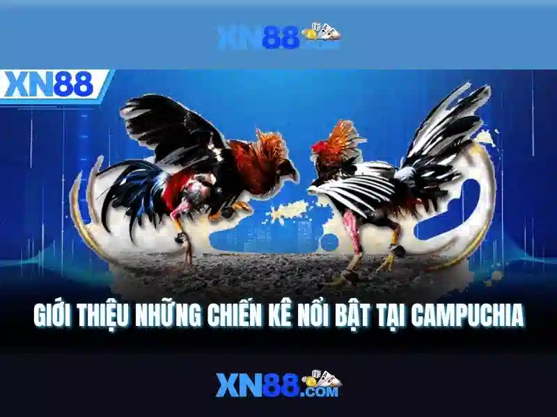 💎cầu cổ chiên bắc qua sông nào💎 💎cầu cổ chiên bắc qua sông nào💎