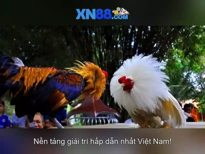 💎app cá cược lô đề💎 💎app cá cược lô đề💎