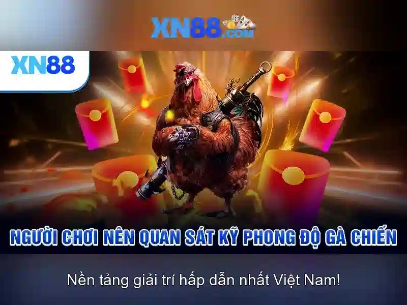 💎các phương án cải tạo nhà cũ💎 💎các phương án cải tạo nhà cũ💎