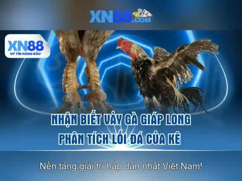 💎trang cá cược bóng đá chisholm💎 💎trang cá cược bóng đá chisholm💎